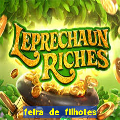 feira de filhotes porto alegre
